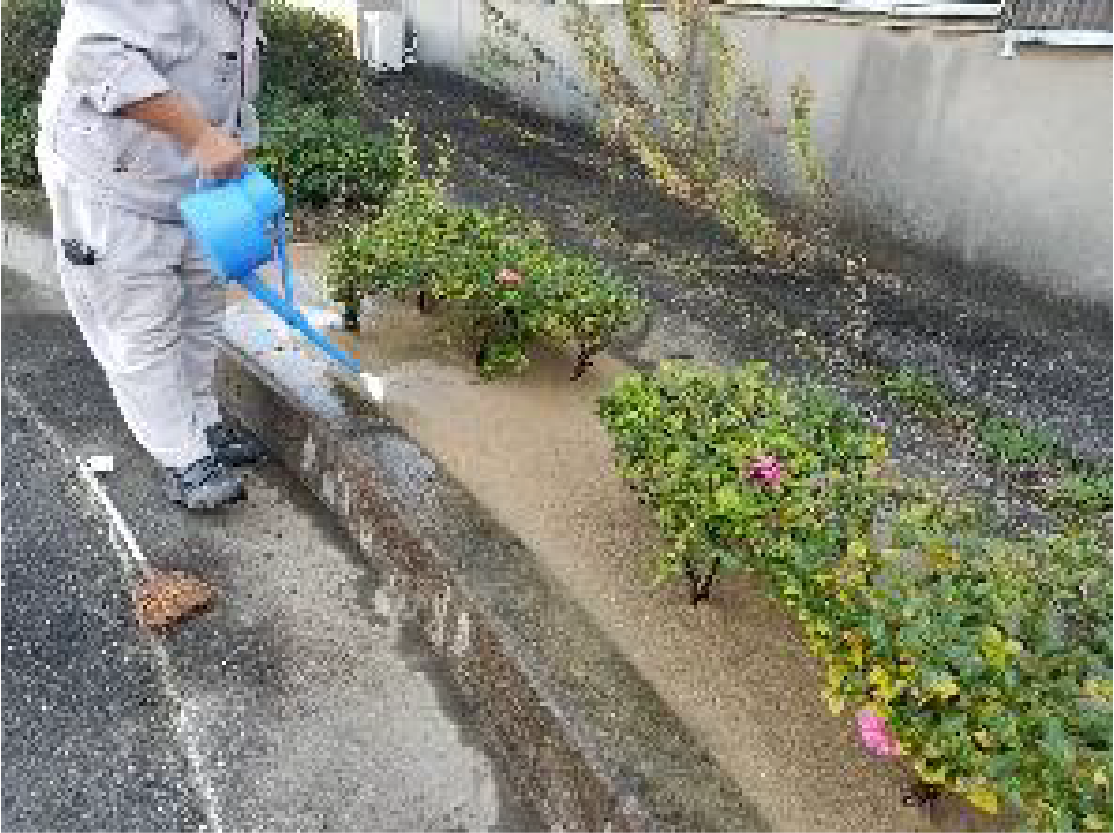 植樹帯の施工事例