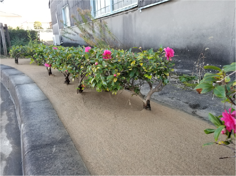 植栽周辺の施工事例